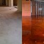 The_Jungle_at_Comerica_Park_Detroit_Seamless_epoxy (5)